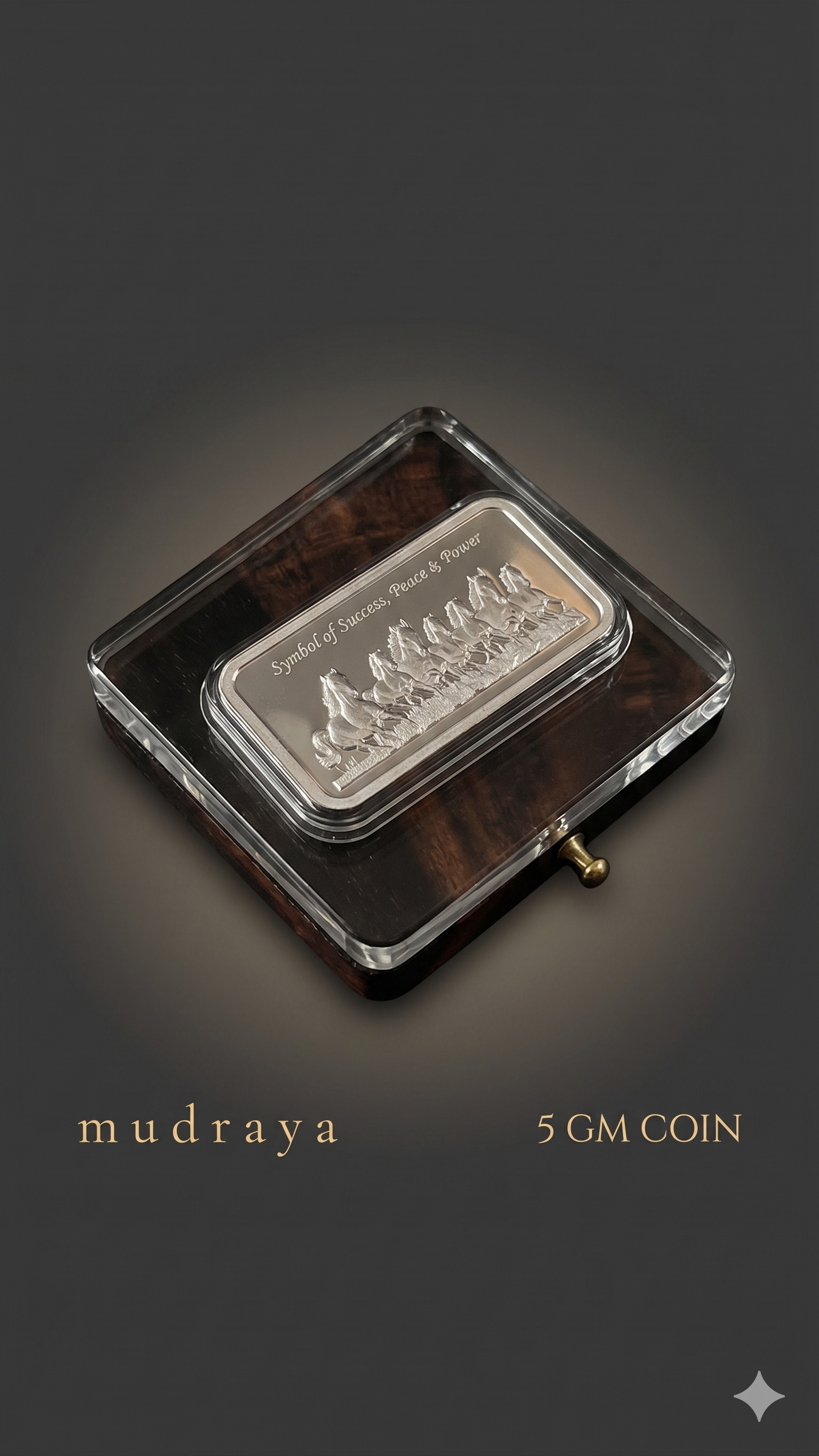7 Horses Bar 5g | 999 Pure Silver