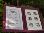 All Wedding Ceremonies in One Box 6gm coins(1*6)  | 999 Pure Silver